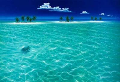 Turtle Crossing art print by Dan Mackin
