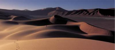 The Namib Desert, Namibia art print by David Noton