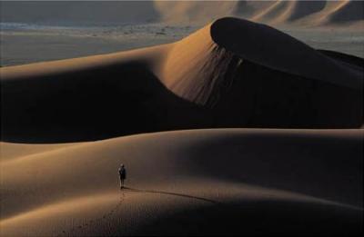 Tread Boldly, Namib Desert, Namibia art print by David Noton
