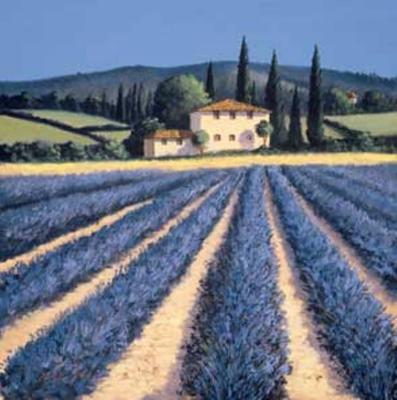 Colors of Summer art print by David Short