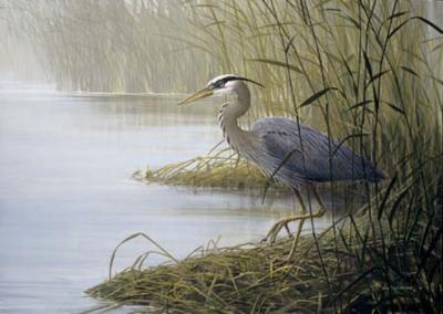 Watching and Waiting art print by Don Li-Leger