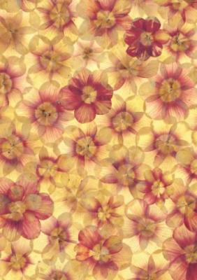 An�mones Jaunes art print by Elisabeth Heim