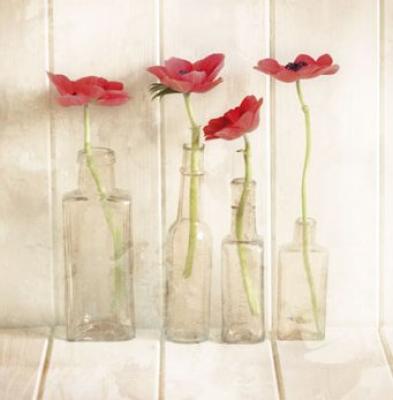 Anemones In Bottles art print by Ian Winstanley