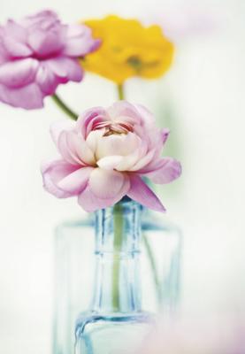 Fragrant Pastels I art print by Ian Winstanley