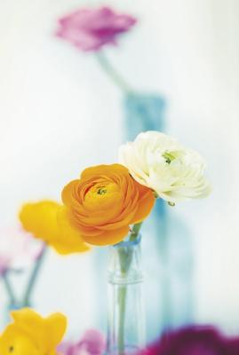 Fragrant Pastels II art print by Ian Winstanley