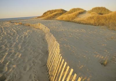 Long Island, New York art print by J. Darblay