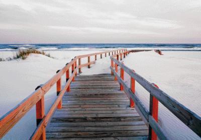 Gulf Coast, Florida art print by James Randklev