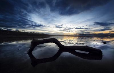 Beach Reflection art print by Marina Cano