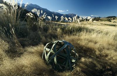 Flax Sphere art print by Martin Hill