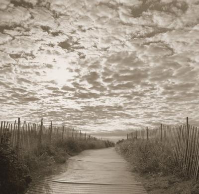 To the Beach art print by Michael Kahn