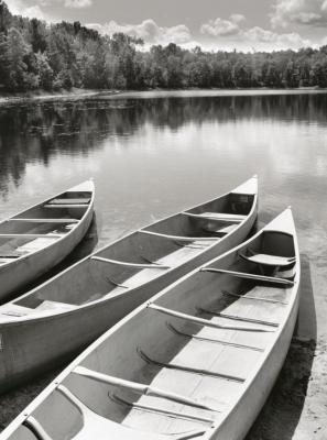 Three Boats, Kalkaska, Michigan art print by Monte Nagler