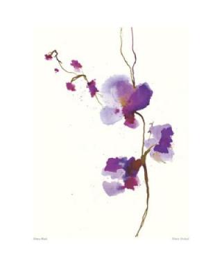 Velvet Orchid art print by Olivia Wade
