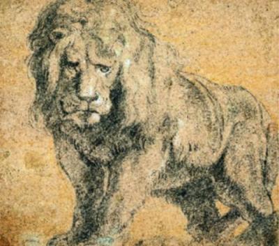 Lion art print by Peter Paul Rubens