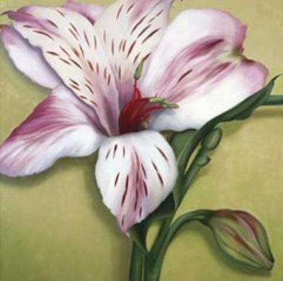 Astralmeria art print by Rachel Deacon