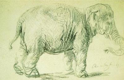 Study of an Elephant art print by Rembrandt