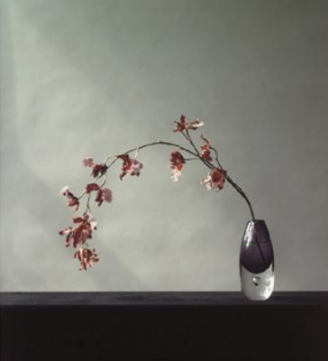 Orchid, 1982 art print by Robert Mapplethorpe