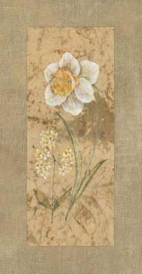 Antique Daffodil art print by Stefania Carlini