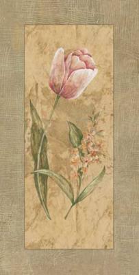 Antique Tulips I art print by Stefania Carlini