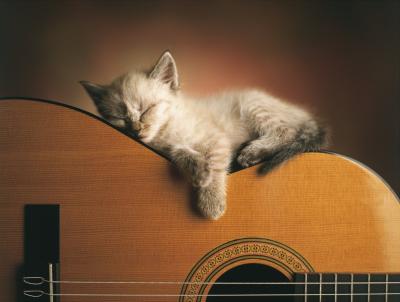 Sleeping Soundly art print by Xavier Chantrenne