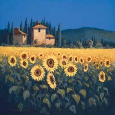 Golden Warmth II art print by David Short
