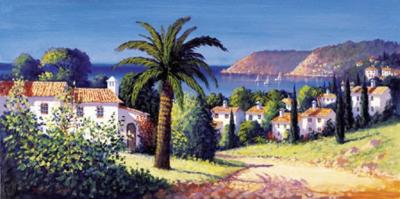 Palm Trail