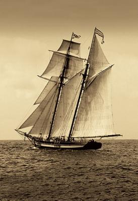 Under Sail II