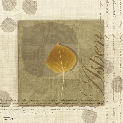 Aspen art print by Tandi Venter