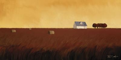 Homeland I art print by Tandi Venter