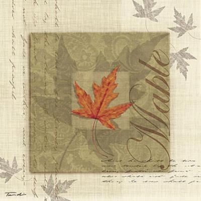 Maple art print by Tandi Venter