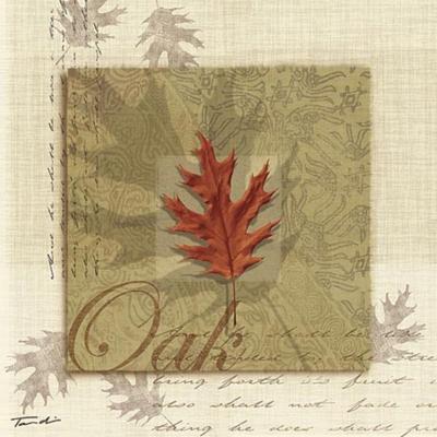 Oak art print by Tandi Venter