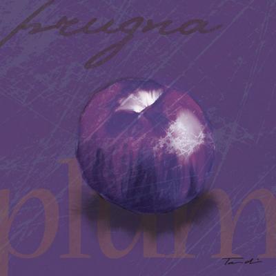Prugna art print by Tandi Venter