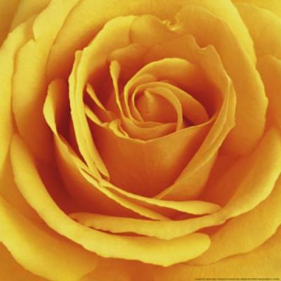 Autumn Dream (yellow) art print by Andrea Tilk