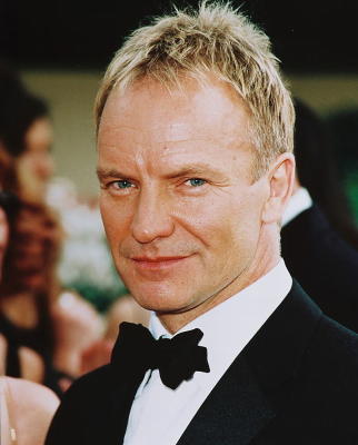 Sting art print by Celebrity Image