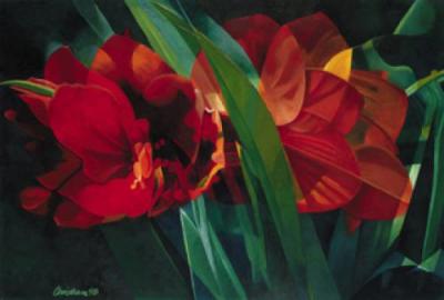 Magic Blossom (Amaryllis)