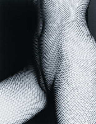 Netztorso art print by Guenter Blum