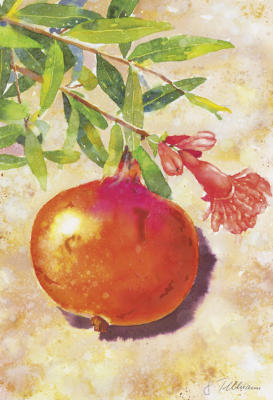 Granatapfel art print by Guenter Tillmann