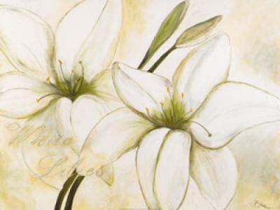 White Lilies art print by Heidi Gerstner
