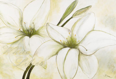White Lilies art print by Heidi Gerstner