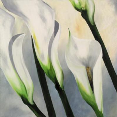 Calla Lily I art print by Maik Siolek