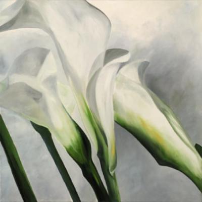 Calla lilly II art print by Maik Siolek