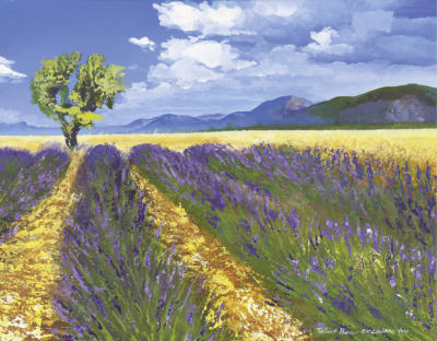 Lavendelfeld mit Baum art print by Talantbek Chekirov