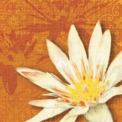 Efflorescence II art print by Tandi Venter