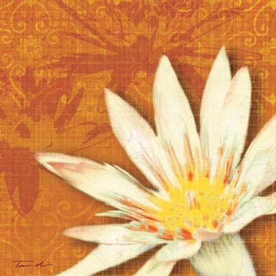 Efflorescence II art print by Tandi Venter