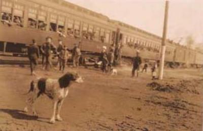 Dog standing by a train art print by Anonymous