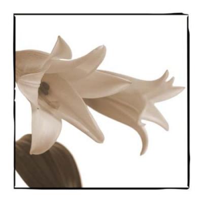 Sepia Flower 4 art print by C. Wiseman