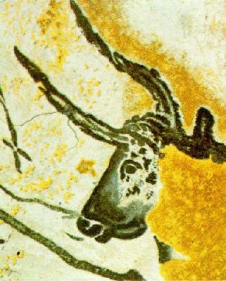 Head Of A Bull art print by Cave Art