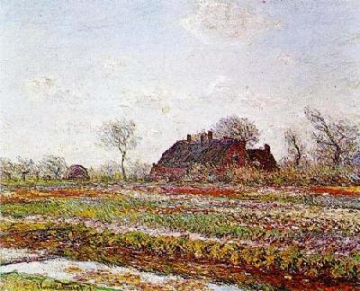 Tulips At Sassenheim art print by Claude Monet