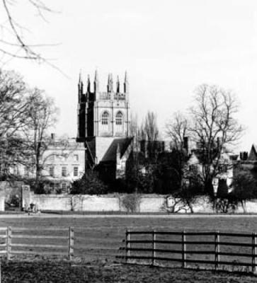 Merton College from Christchurch Meadow art print by David Dickinson