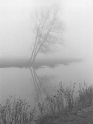 November art print by David Miller