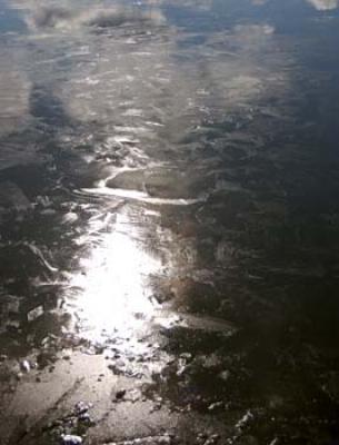 black water 1 art print by Jinks